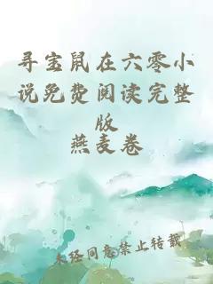 寻宝鼠在六零小说免费阅读完整版