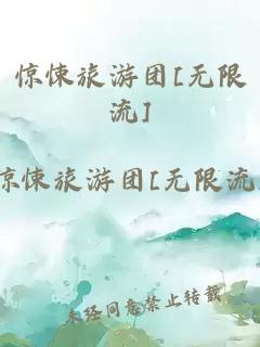 惊悚旅游团[无限流]