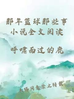 那年篮球那些事小说全文阅读