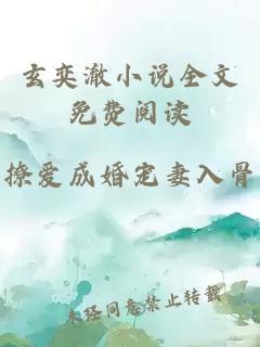 玄奕澈小说全文免费阅读