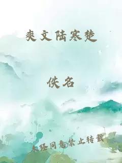 爽文陆寒楚
