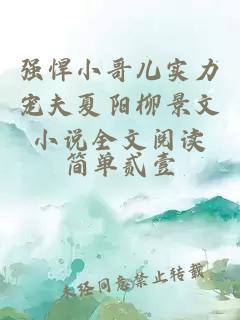 强悍小哥儿实力宠夫夏阳柳景文小说全文阅读