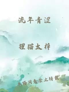流年青涩