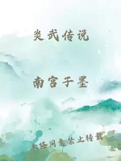 炎武传说