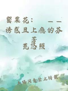 罂粟花：澪——诱惑且上瘾的芬芳