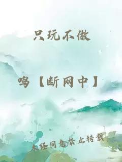 只玩不做