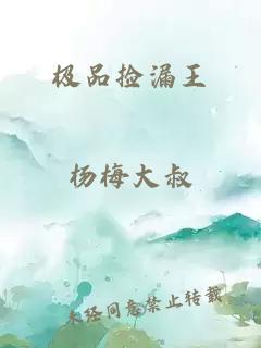 极品捡漏王