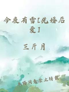 今夜有雪[先婚后爱]