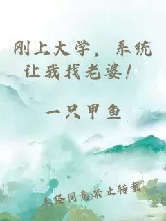 刚上大学，系统让我找老婆！