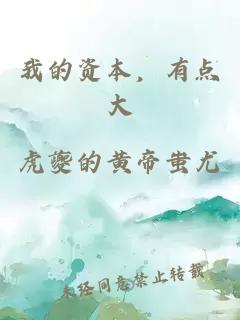 我的资本，有点大