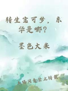 转生宝可梦，东华是哪？