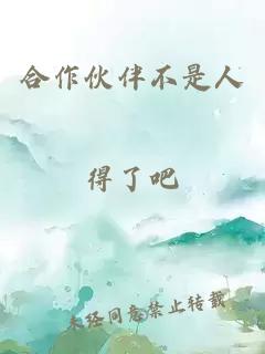 合作伙伴不是人
