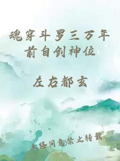 魂穿斗罗三万年前自创神位
