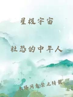 星极宇宙
