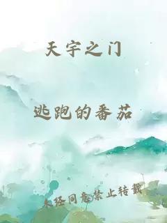 天宇之门