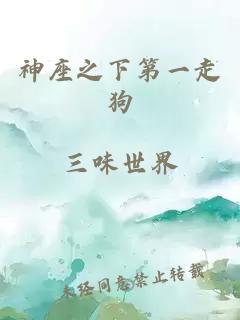 神座之下第一走狗